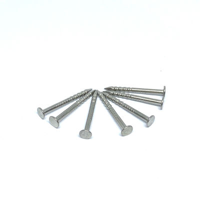 1.6X19MM रिंग शंक 316 स्टेनलेस स्टील फ्लैट सिर नाखून