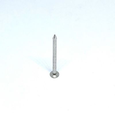 लकड़ी के लिए चार खोखले शंकु फ्लैट सिर 2.8X30MM A4 स्टेनलेस स्टील नाखून