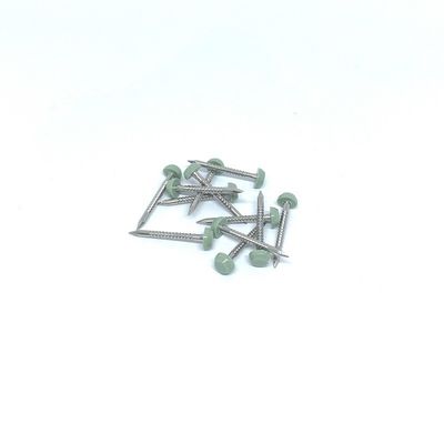 UPVC प्लेट्स के लिए SS316 25MM शार्क प्वाइंट कुंडलाकार अंगूठी नाखून