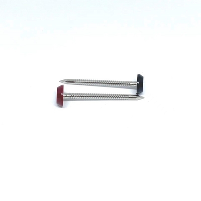 छत के लिए कुंडलाकार अंगूठी शंकु प्लास्टिक सिर नाखून 3.0X50MM