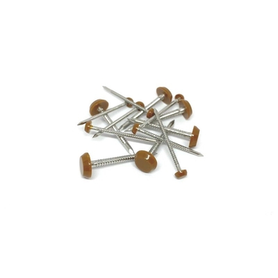 Ral 8003 ब्राउन एंटी यूवी प्लास्टिक हेड पिन और नेल्स फॉर रूफिंग 2.0 / 3.0X40mm