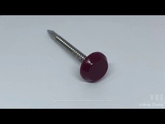 स्टेनलेस स्टील प्लास्टिक हेड कील